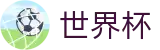 美加墨世界杯线上官方投注官网 - 世界杯独赢推荐